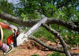 Seasonal Cleanup (Spring/Fall) in Hueytown, AL